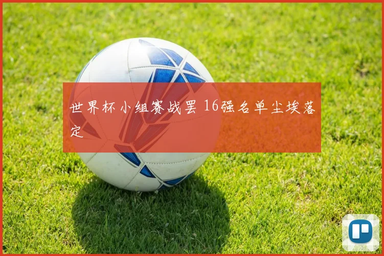 世界杯小组赛战罢 16强名单尘埃落定