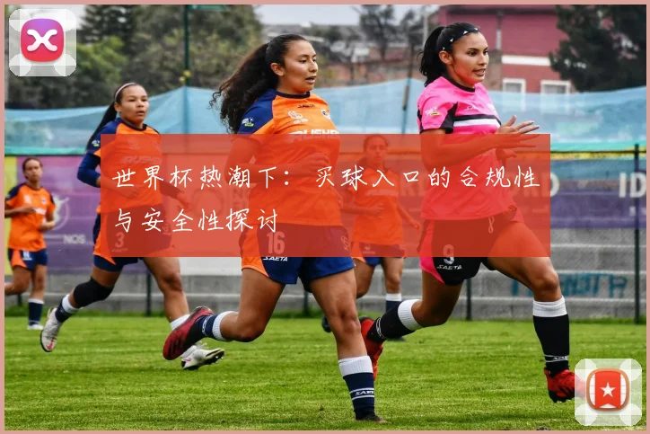 世界杯热潮下:买球入口的合规性与安全性探讨