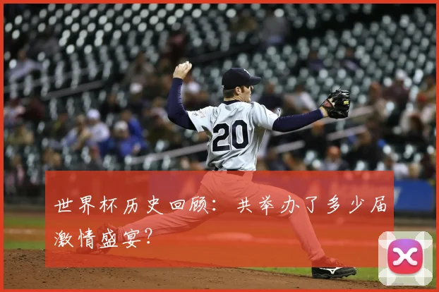 世界杯历史回顾:共举办了多少届激情盛宴?