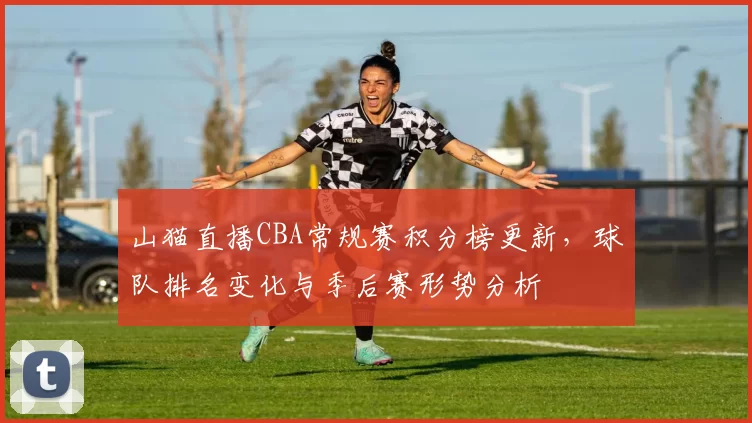 山猫直播CBA常规赛积分榜更新，球队排名变化与季后赛形势分析