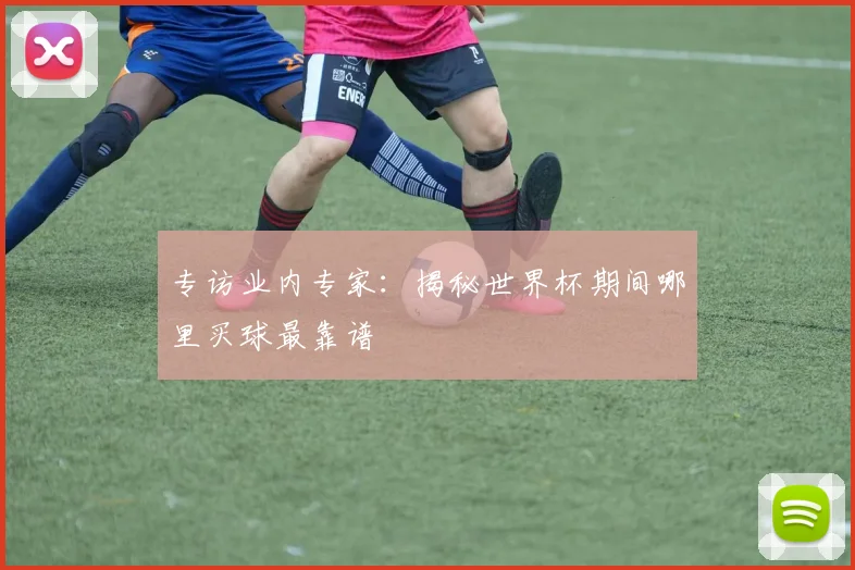 专访业内专家:揭秘世界杯期间哪里买球最靠谱
