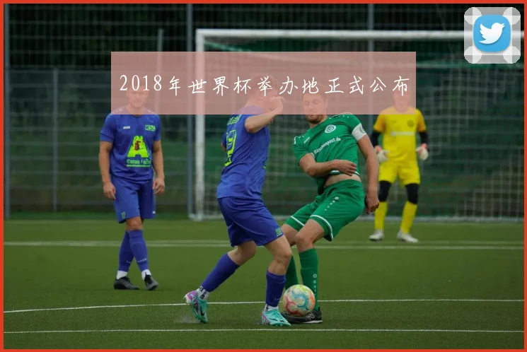 2018年世界杯举办地正式公布