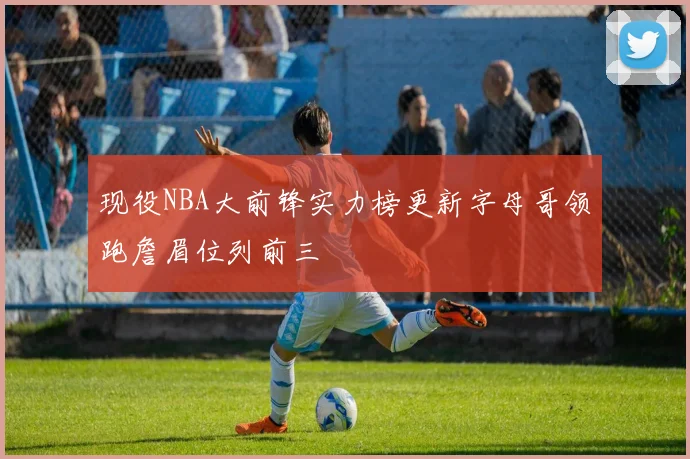 现役NBA大前锋实力榜更新字母哥领跑詹眉位列前三