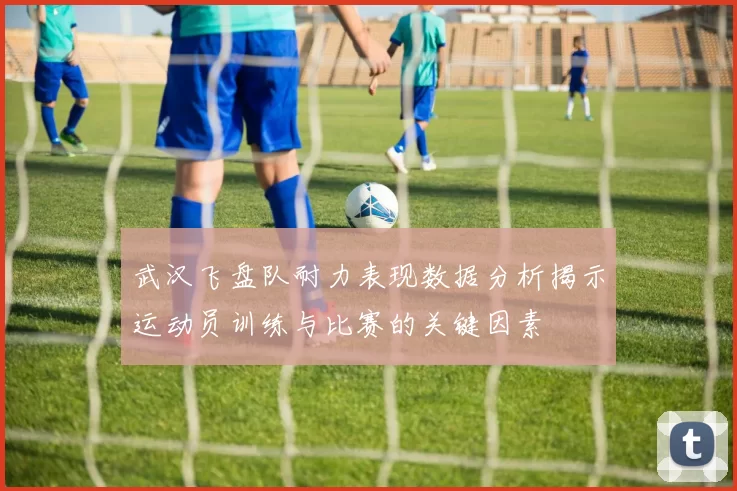 武汉飞盘队耐力表现数据分析揭示运动员训练与比赛的关键因素