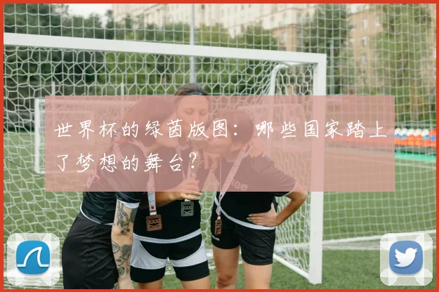 世界杯的绿茵版图：哪些国家踏上了梦想的舞台？