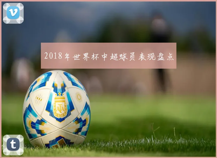 2018年世界杯中超球员表现盘点
