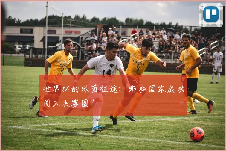 世界杯的绿茵征途：哪些国家成功闯入决赛圈？