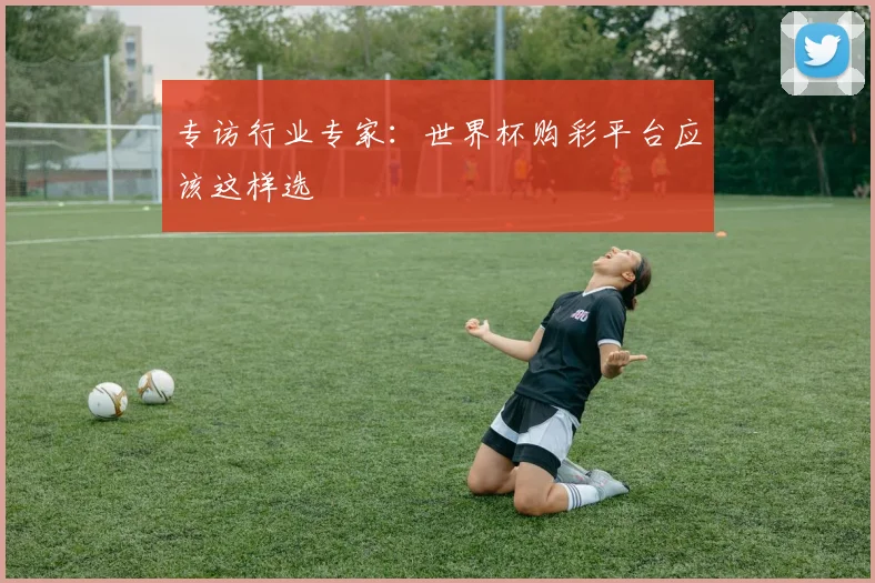 专访行业专家:世界杯购彩平台应该这样选