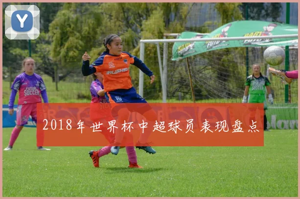 2018年世界杯中超球员表现盘点