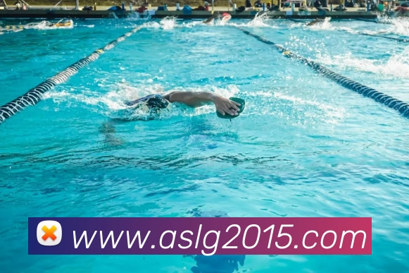 华体会app全站App 华体会app全站App